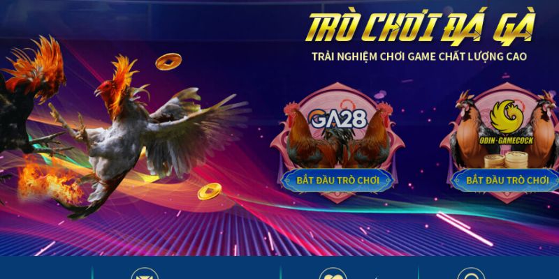 Chiến lược cược thắng to cho bet thủ