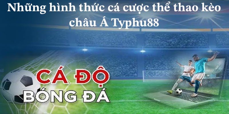 Những hình thức cá cược thể thao kèo châu Á Typhu88